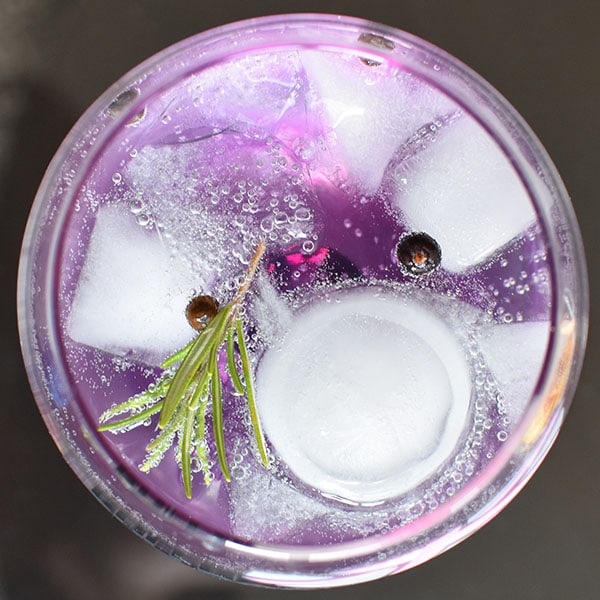 7 Favourite Gin Botanicals